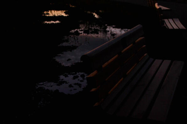 looks like it rained